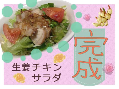 ヘルシー!!生姜チキンサラダ/