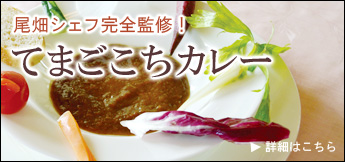 【ギフト】てまごこちカレー５点セット