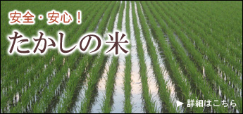 たかしの米(宮崎県産ヒノヒカリ)